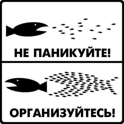 W1_-01KYZIU.jpg