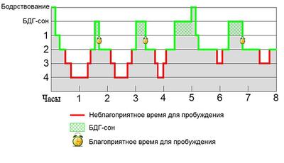 fazy-sna-bystryj-i-medlennyj-son_3.jpg