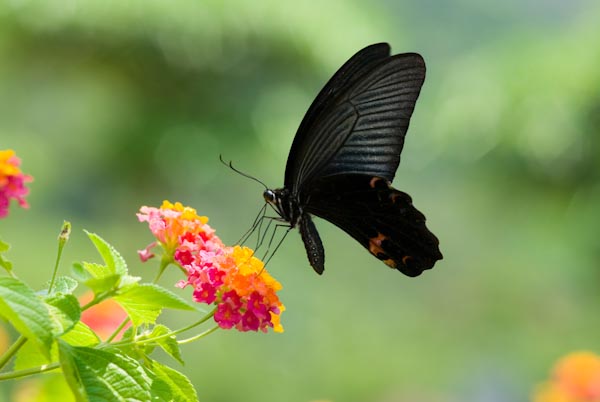2ebe2d618d95b0fccfb3bc55bcb01405.jpg