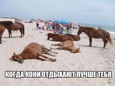 1461142983_ehhksde6xnk.jpg