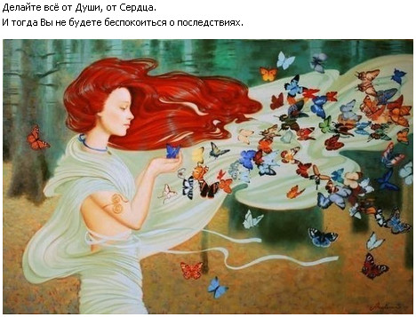 бабочки.jpg