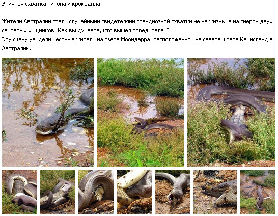 схватка.jpg