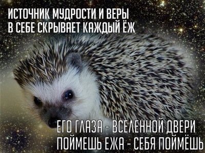 1495712106.jpg
