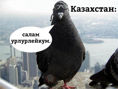 1502959892.jpg
