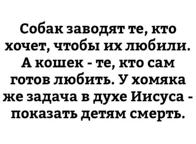 1504408481.jpg