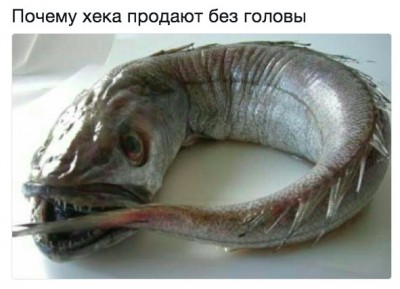 1510585744.jpg