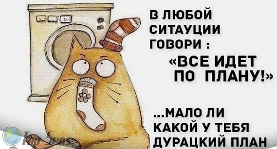 AVVOu137Zb4.jpg