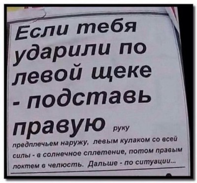 242.jpg