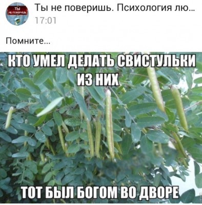 1557491881.jpg