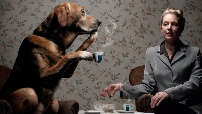 dog_8.jpg