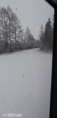 IMG_20240502_115321.jpg