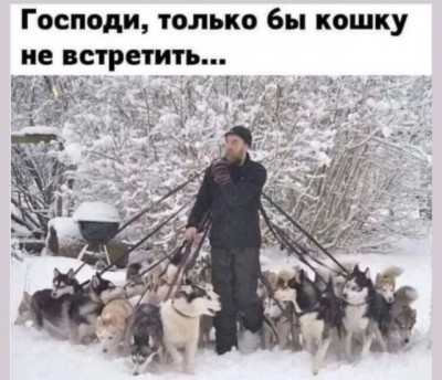 254724_11_trinixy_ru.jpg