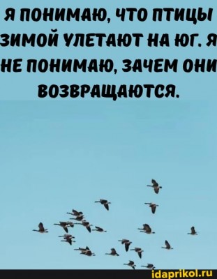 055c9ed253ad083a754b97880a3dca5dda0462fe1170be05f7f0e8d9c78d7b6d_1.jpg